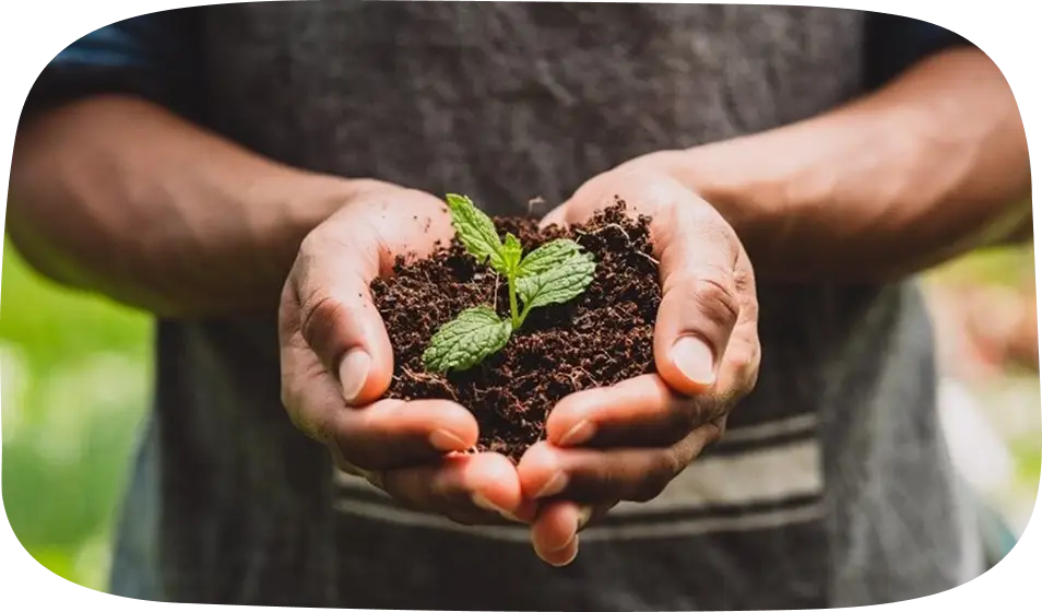 Regenerative Agriculture